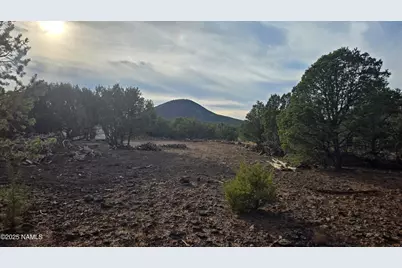 2393 E Starry Night Way #15, Williams, AZ 86046 - Photo 17