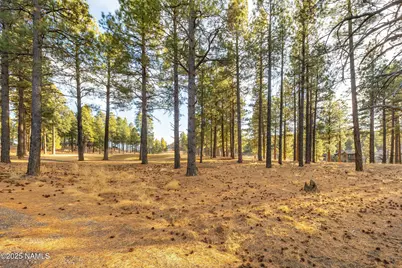 4105 W Tack Room, Flagstaff, AZ 86005 - Photo 19