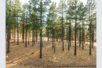 4105 W Tack Room, Flagstaff, AZ 86005 - Photo 9
