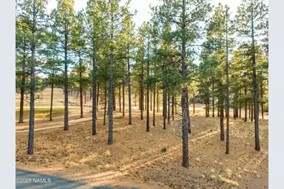 4105 W Tack Room, Flagstaff, AZ 86005 - Photo 21