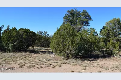 13887 Bly Station Rd B, Williams, AZ 86046 - Photo 9