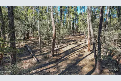 110 W Bradshaw Drive, Pine, AZ 85544 - Photo 9