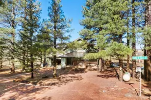 535 Lots a Luck Ln, Mormon Lake, AZ 86038 - Photo 35