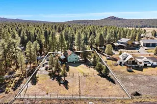 535 Lots a Luck Ln, Mormon Lake, AZ 86038 - Photo 39