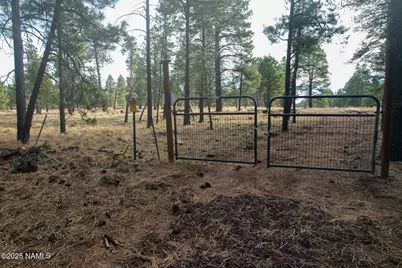 4540 Forrest Ranches Loop, Parks, AZ 86018 - Photo 3