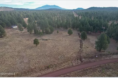 4540 Forrest Ranches Loop, Parks, AZ 86018 - Photo 13