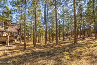 1743 E Elysian Court, Flagstaff, AZ 86005 - Photo 13