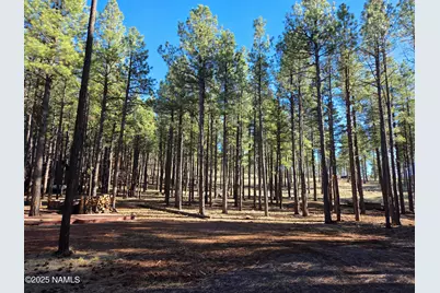 13398 E Fallow Deer Road, Parks, AZ 86018 - Photo 1