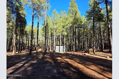 13398 E Fallow Deer Road, Parks, AZ 86018 - Photo 7