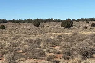 1625 E Laramie Dr, Williams, AZ 86046 - Photo 1