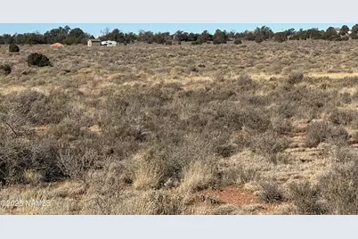 1625 E Laramie Drive, Williams, AZ 86046 - Photo 3