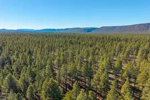 3153 Buffalo Trail, Flagstaff, AZ 86005 - Photo 53