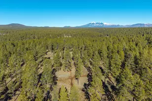 3153 Buffalo Trail, Flagstaff, AZ 86005 - Photo 55