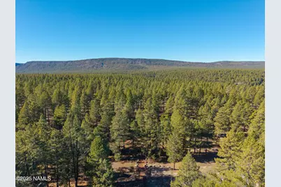 3153 Buffalo Trail, Flagstaff, AZ 86005 - Photo 51