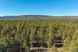 3153 Buffalo Trail, Flagstaff, AZ 86005 - Photo 51