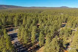 3153 Buffalo Trail, Flagstaff, AZ 86005 - Photo 47