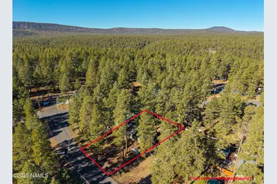 3153 Buffalo Trail, Flagstaff, AZ 86005 - Photo 5