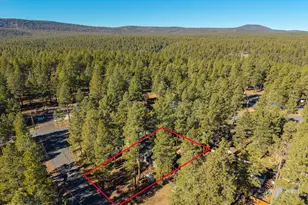 3153 Buffalo Trail, Flagstaff, AZ 86005 - Photo 5
