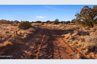 4449 E Cedar Road, Williams, AZ 86046 - Photo 19