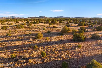 4449 E Cedar Road, Williams, AZ 86046 - Photo 11