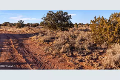 4449 E Cedar Road, Williams, AZ 86046 - Photo 7