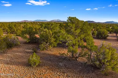 2564 S Kaibab Road, Williams, AZ 86046 - Photo 11