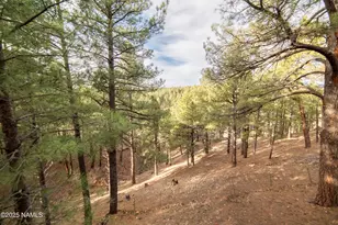 2495 Chof Trail, Flagstaff, AZ 86005 - Photo 47
