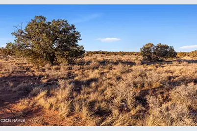 4411 E Cedar Road, Williams, AZ 86046 - Photo 11