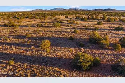 4411 E Cedar Road, Williams, AZ 86046 - Photo 3