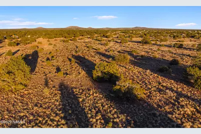 4411 E Cedar Road, Williams, AZ 86046 - Photo 23