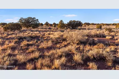 4411 E Cedar Road, Williams, AZ 86046 - Photo 17