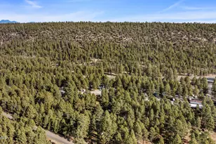 8510 Lake Mary Rd, Flagstaff, AZ 86005 - Photo 7