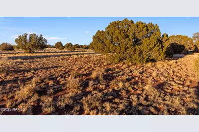 4373 E Cedar Road, Williams, AZ 86046 - Photo 13
