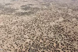 54 N7493, Saint Johns, AZ 85936 - Photo 1