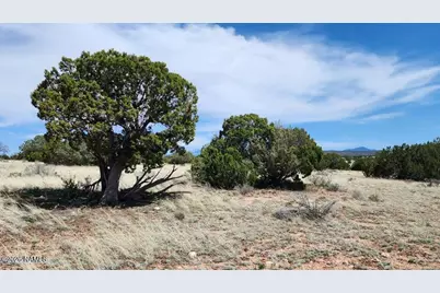 3566 W Clove Hitch - Lot C Road, Williams, AZ 86046 - Photo 5