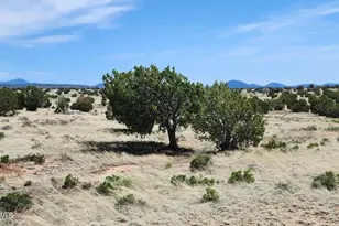 3566 W Clove Hitch Rd Lot C, Williams, AZ 86046 - Photo 1