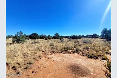 2354 S Holly Hock Lane, Williams, AZ 86046 - Photo 9