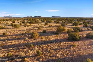 2354 S Holly Hock Ln, Williams, AZ 86046 - Photo 1