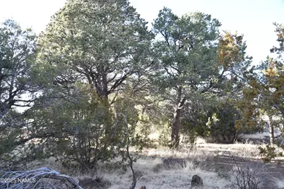 7122 N Audrey Way, Williams, AZ 86046 - Photo 13