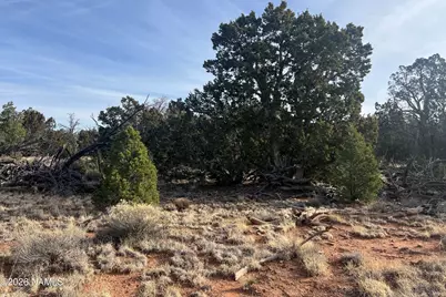 Lot 186A Bull Run Road, Williams, AZ 86046 - Photo 7