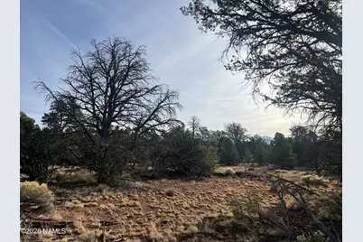 Lot 186A Bull Run Road, Williams, AZ 86046 - Photo 9