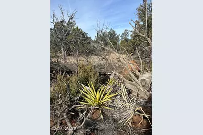 Lot 186A Bull Run Road, Williams, AZ 86046 - Photo 11