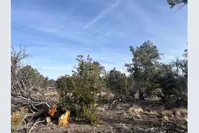 Lot 186A Bull Run Road, Williams, AZ 86046 - Photo 5