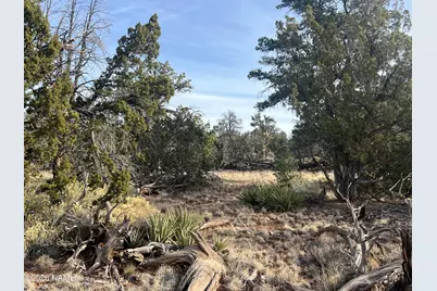 Lot 186C Bull Run Road, Williams, AZ 86046 - Photo 1