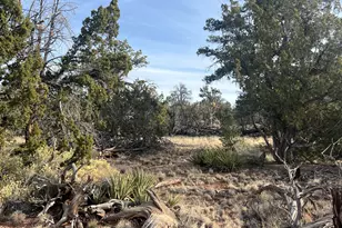 Lot 186C Bull Run Rd, Williams, AZ 86046 - Photo 1