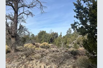 Lot 186B Bull Run Road, Williams, AZ 86046 - Photo 29