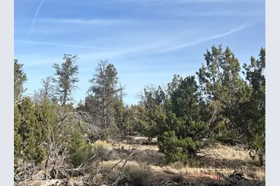 Lot 186B Bull Run Road, Williams, AZ 86046 - Photo 13
