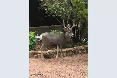 2500 N Carefree Circle, Flagstaff, AZ 86004 - Photo 57