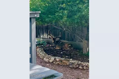 2500 N Carefree Circle, Flagstaff, AZ 86004 - Photo 71