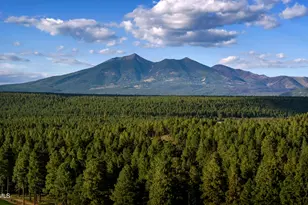 4357 Appaloosa St, Flagstaff, AZ 86005 - Photo 7